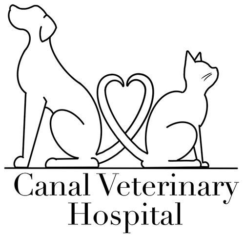 Canal Veterinary Hospital
